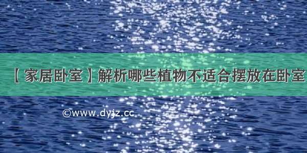 【家居卧室】解析哪些植物不适合摆放在卧室