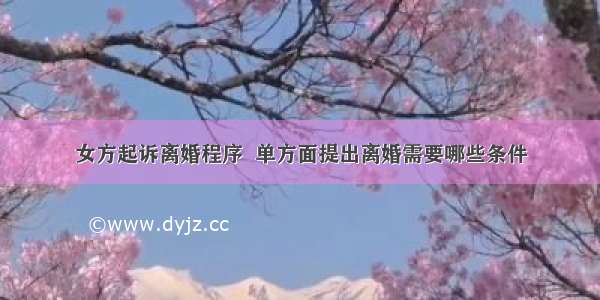 女方起诉离婚程序  单方面提出离婚需要哪些条件