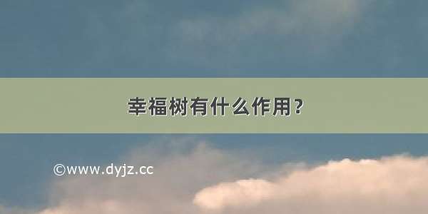 幸福树有什么作用？