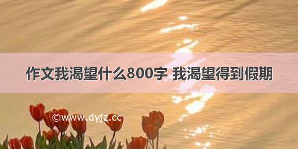 作文我渴望什么800字 我渴望得到假期