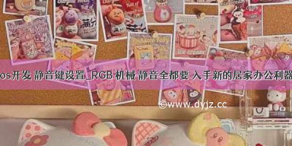 ios开发 静音键设置_RGB 机械 静音全都要 入手新的居家办公利器