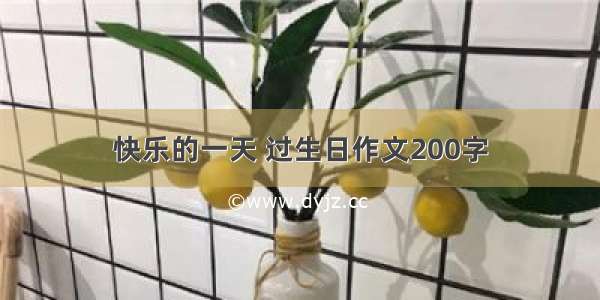 快乐的一天 过生日作文200字