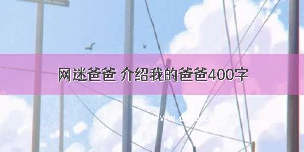 网迷爸爸 介绍我的爸爸400字