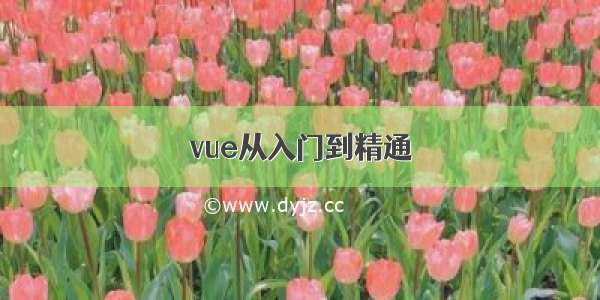 vue从入门到精通