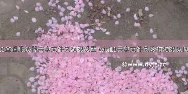 win10查看服务器共享文件夹权限设置 win10共享文件夹没有权限访问权限