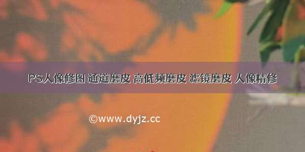 PS人像修图 通道磨皮 高低频磨皮 滤镜磨皮 人像精修