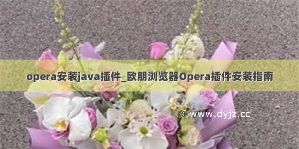 opera安装java插件_欧朋浏览器Opera插件安装指南