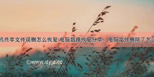 计算机共享文件误删怎么恢复 电脑数据恢复分享：电脑文件删除了怎么恢复