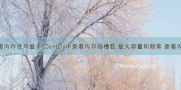 centos查看内存使用最多_CentOs中查看内存插槽数 最大容量和频率 查看内存插槽数 