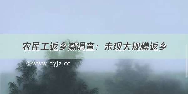 农民工返乡潮调查：未现大规模返乡