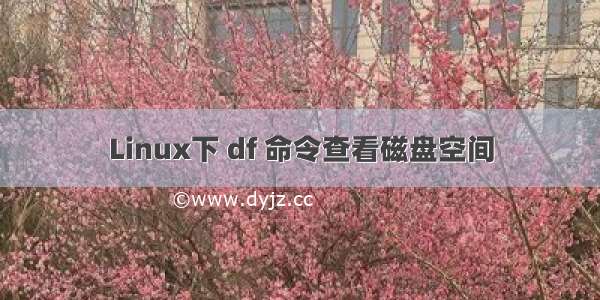 Linux下 df 命令查看磁盘空间