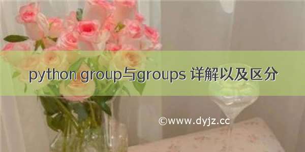 python group与groups 详解以及区分