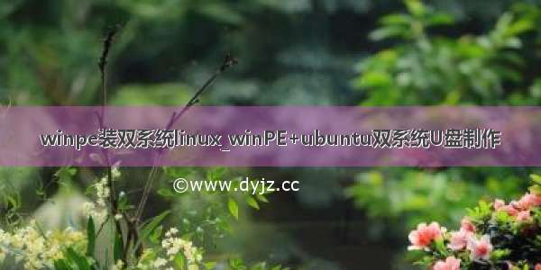 winpe装双系统linux_winPE+ubuntu双系统U盘制作