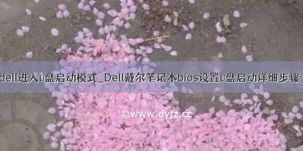 dell进入u盘启动模式_Dell戴尔笔记本bios设置u盘启动详细步骤