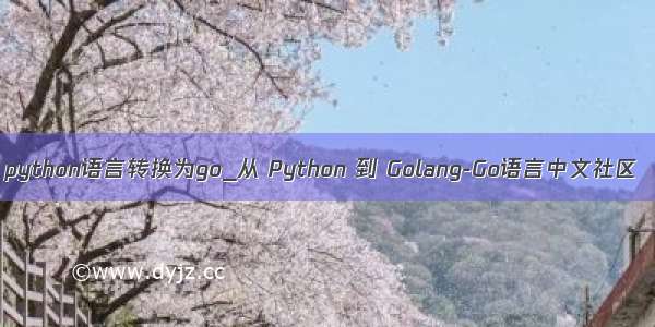 python语言转换为go_从 Python 到 Golang-Go语言中文社区