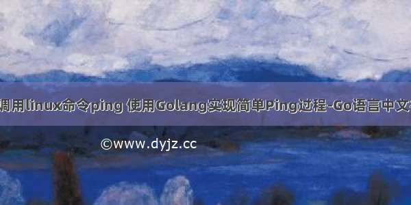 go 调用linux命令ping 使用Golang实现简单Ping过程-Go语言中文社区