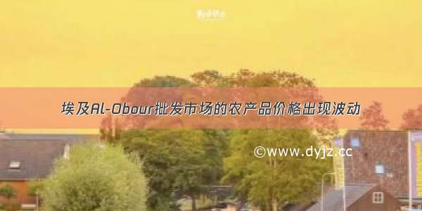 埃及Al-Obour批发市场的农产品价格出现波动