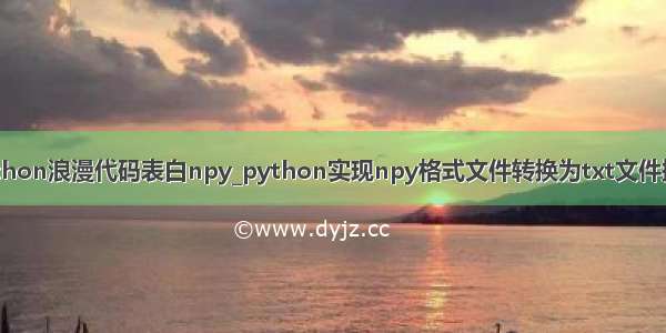 python浪漫代码表白npy_python实现npy格式文件转换为txt文件操作