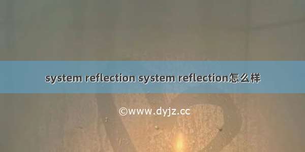 system reflection system reflection怎么样