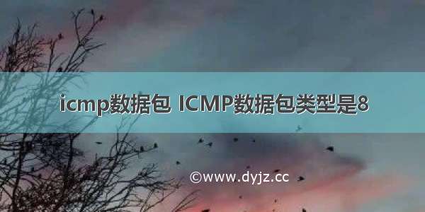 icmp数据包 ICMP数据包类型是8