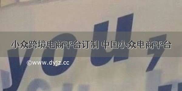 小众跨境电商平台订制 中国小众电商平台