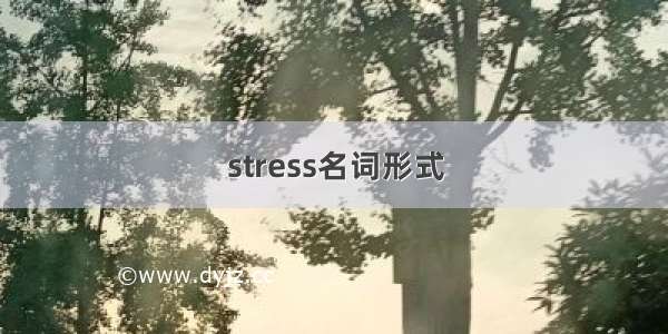 stress名词形式