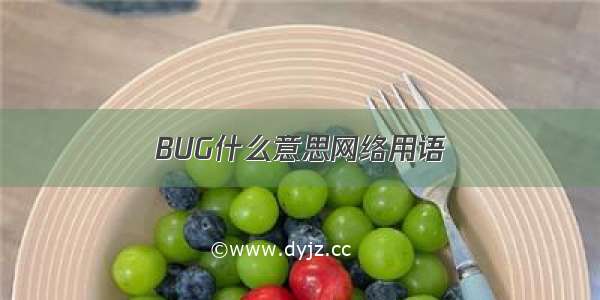 BUG什么意思网络用语