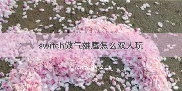 switch傲气雄鹰怎么双人玩