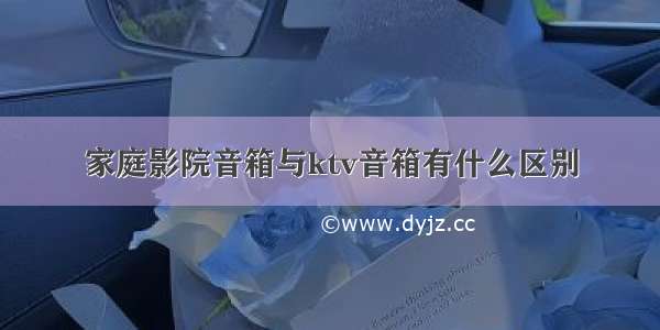 家庭影院音箱与ktv音箱有什么区别