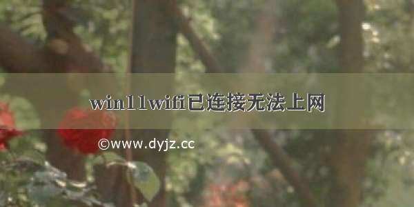 win11wifi已连接无法上网