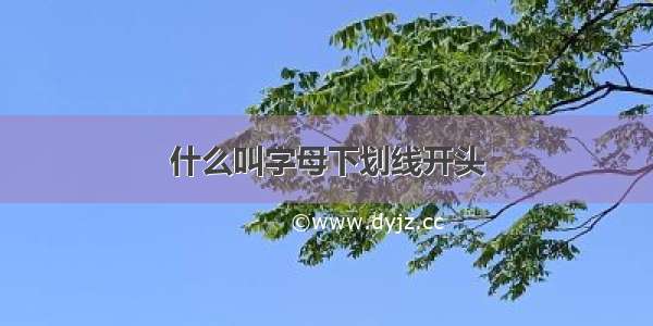 什么叫字母下划线开头