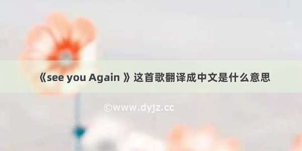 《see you Again 》这首歌翻译成中文是什么意思
