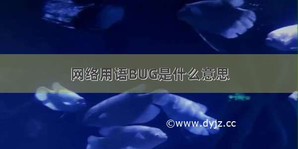 网络用语BUG是什么意思