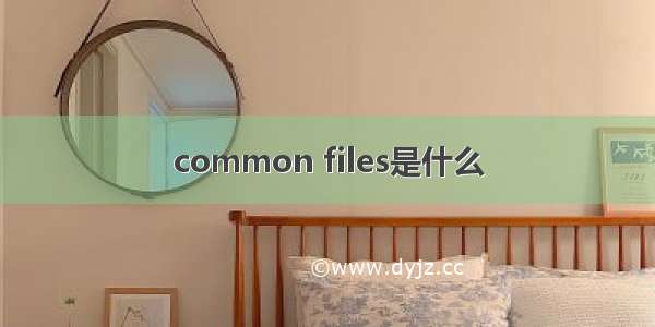 common files是什么