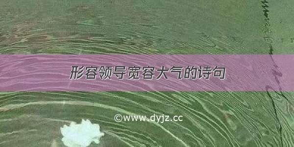 形容领导宽容大气的诗句