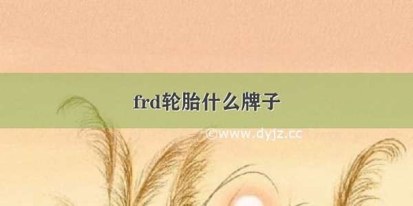 frd轮胎什么牌子