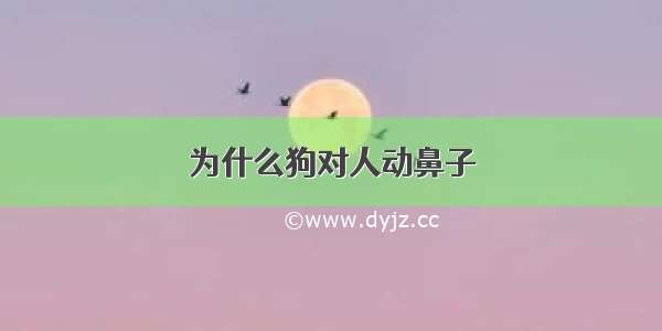 为什么狗对人动鼻子