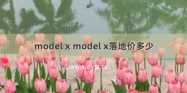 model x model x落地价多少