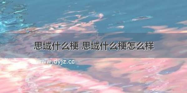 思域什么梗 思域什么梗怎么样