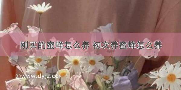 刚买的蜜蜂怎么养 初次养蜜蜂怎么养