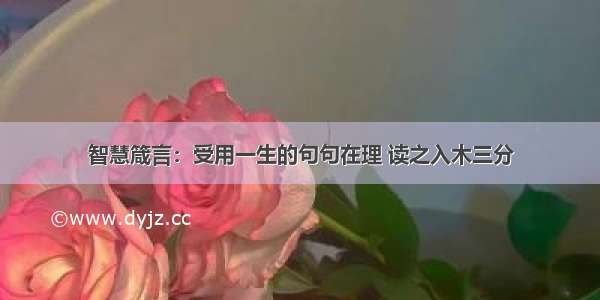 智慧箴言：受用一生的句句在理 读之入木三分