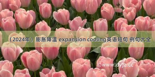 （2024年）膨胀降温 expansion cooling英语短句 例句大全