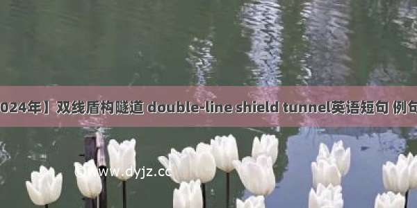 【2024年】双线盾构隧道 double-line shield tunnel英语短句 例句大全