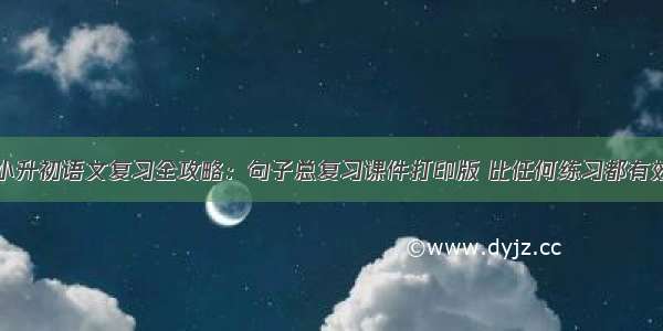 小升初语文复习全攻略：句子总复习课件打印版 比任何练习都有效