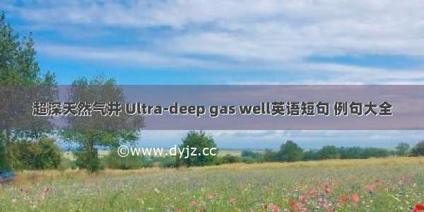 超深天然气井 Ultra-deep gas well英语短句 例句大全