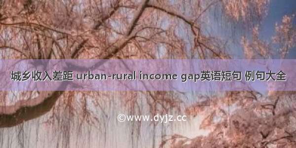 城乡收入差距 urban-rural income gap英语短句 例句大全