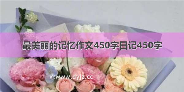 最美丽的记忆作文450字日记450字