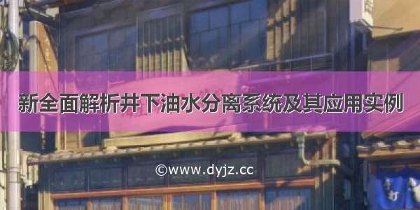 新全面解析井下油水分离系统及其应用实例