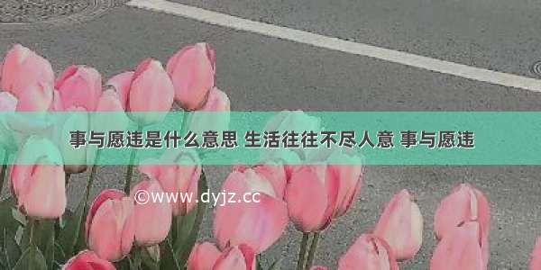 事与愿违是什么意思 生活往往不尽人意 事与愿违