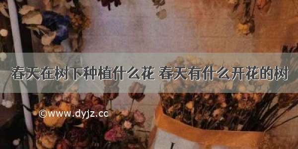 春天在树下种植什么花 春天有什么开花的树